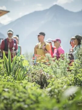 Vacanza Valle Aurina ? La valle pi? verde in Italia
