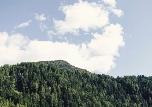 Vacanza Valle Aurina ? La valle pi? verde in Italia