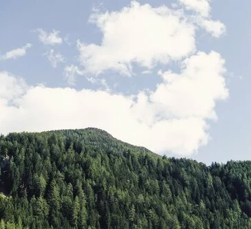 Vacanza Valle Aurina ? La valle pi? verde in Italia